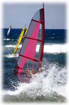 Bild - Windsurfer...